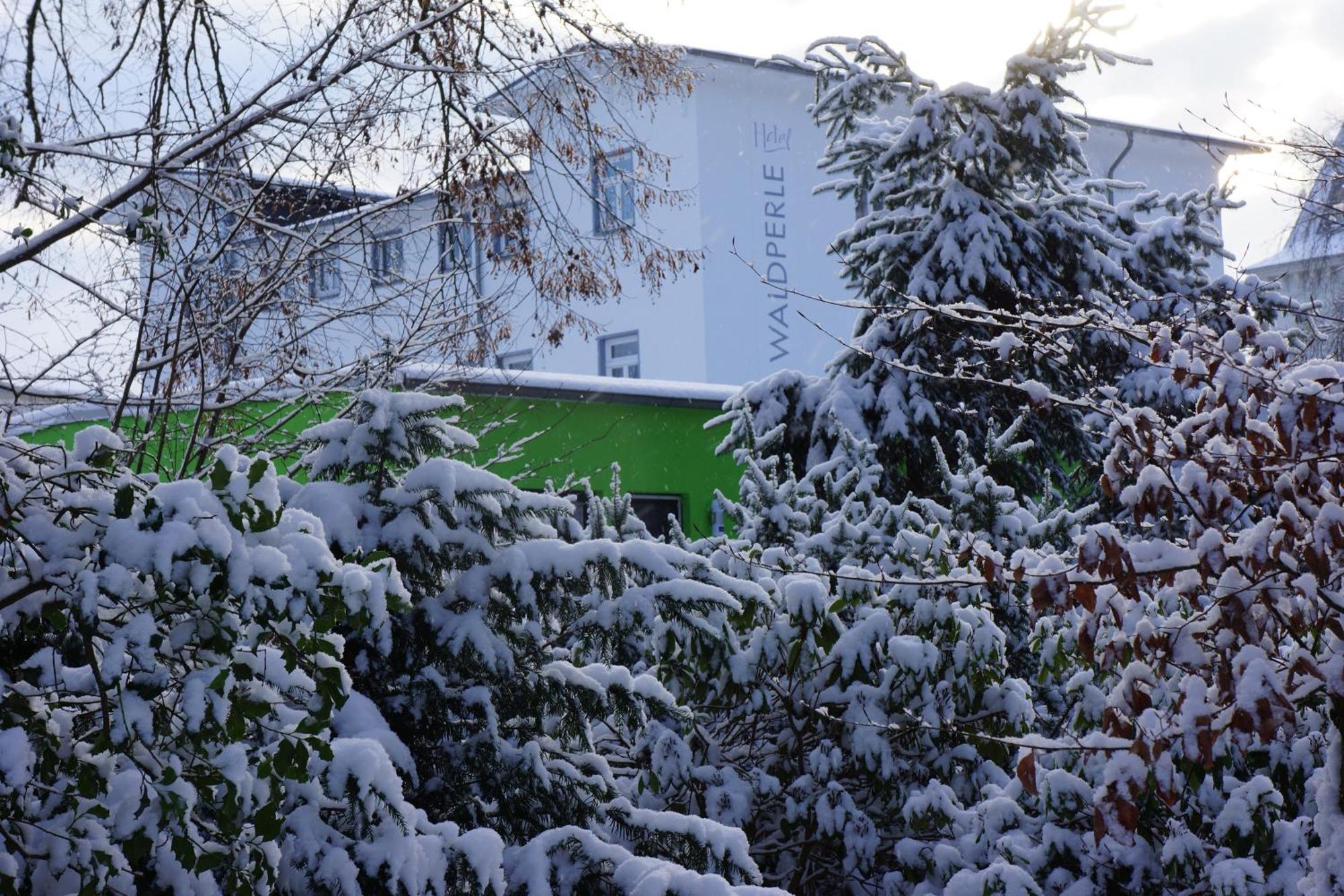 Hotel Waldperle Graal-Mueritz Luaran gambar
